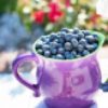 acai-berry